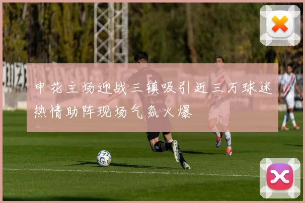 申花主场迎战三镇吸引近三万球迷热情助阵现场气氛火爆