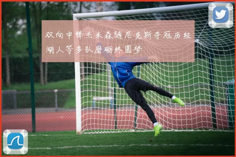 双向中锋杰米森随尼克斯夺冠历经湖人等多队磨砺终圆梦